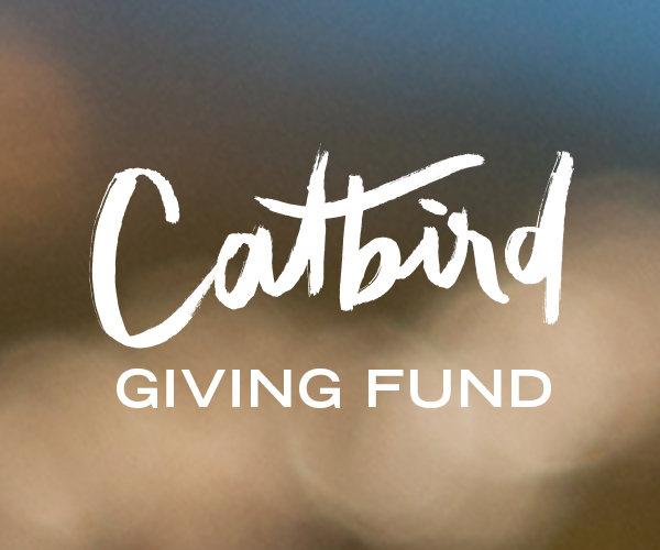 The Catbird Giving Fund